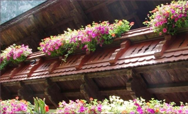 Apartamento Hinterankerwald Walchsee Exterior foto