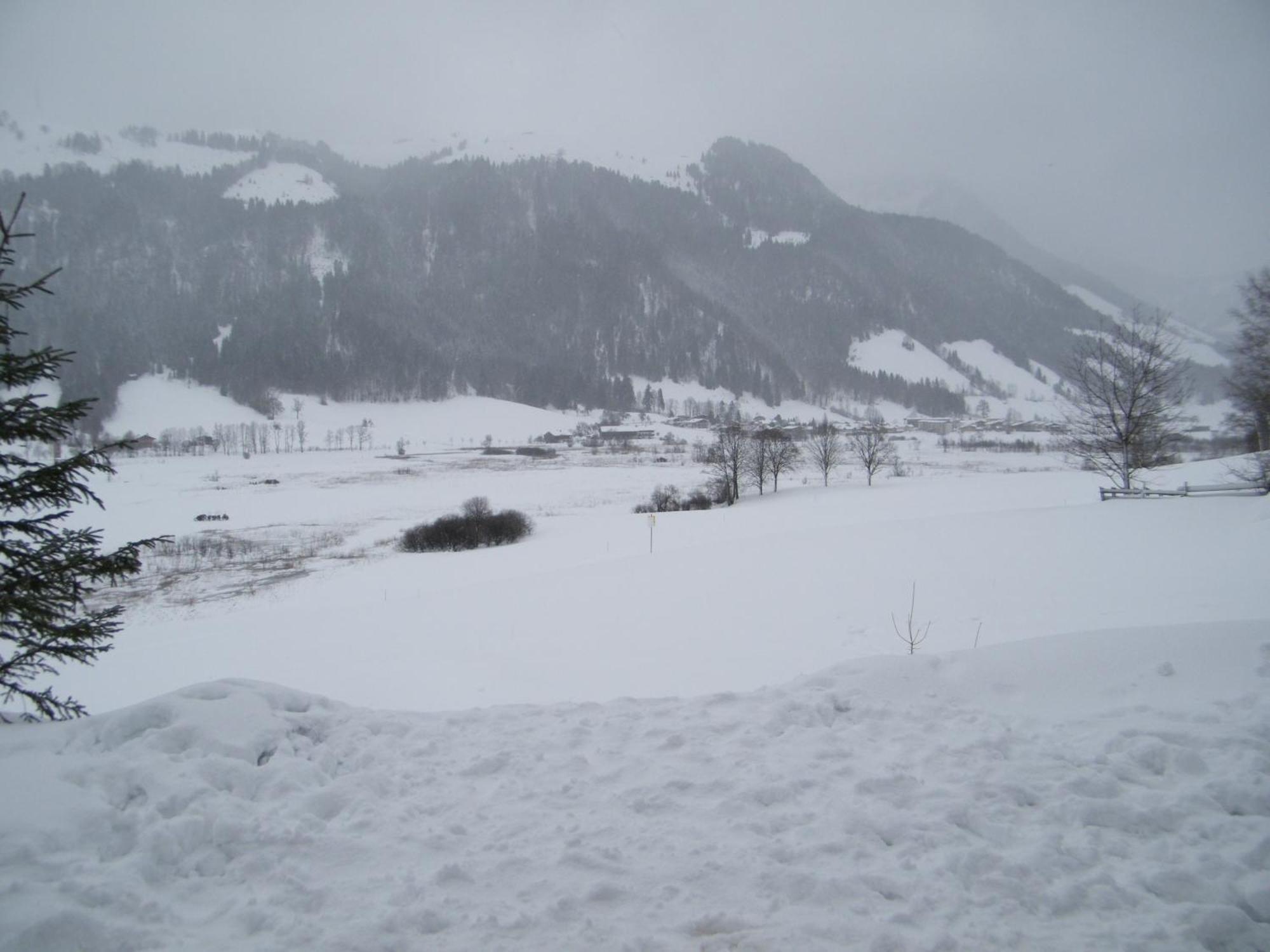 Apartamento Hinterankerwald Walchsee Exterior foto